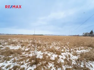 Prodej pole, Veltruby, 10898 m2