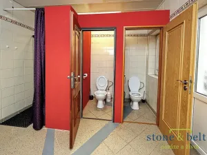 Prodej vícegeneračního domu, Nové Město pod Smrkem, Mírové náměstí, 466 m2