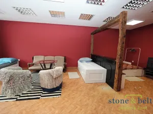 Prodej vícegeneračního domu, Nové Město pod Smrkem, Mírové náměstí, 466 m2