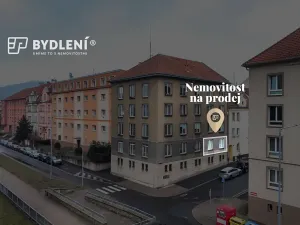 Prodej bytu 2+1, Ústí nad Labem, Střekovské nábřeží, 60 m2