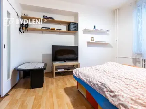 Prodej bytu 2+1, Ústí nad Labem, Střekovské nábřeží, 60 m2