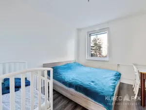 Prodej bytu 3+1, Tábor, Hanojská, 74 m2