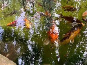 Prodej rodinného domu, Nový Jáchymov, 200 m2