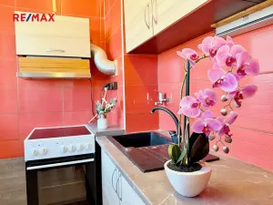 Prodej bytu 1+kk, Pardubice, Valčíkova, 29 m2