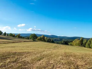 Prodej ubytování, Dolní Moravice, 489 m2