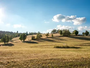 Prodej ubytování, Dolní Moravice, 489 m2