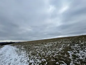 Dražba pole, Litoměřice, 8107 m2