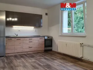 Pronájem bytu 2+1, Ostrov, Jungmannova, 51 m2