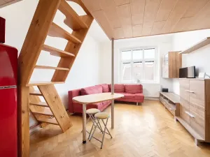 Pronájem bytu 1+kk, Brno, Čejkova, 27 m2