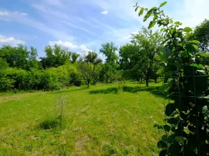 Prodej zahrady, Uherský Brod, 2032 m2