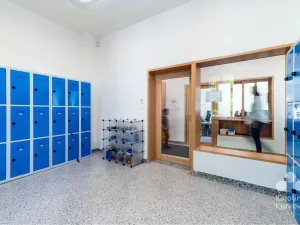 Pronájem kanceláře, Praha - Podolí, Podolská, 500 m2