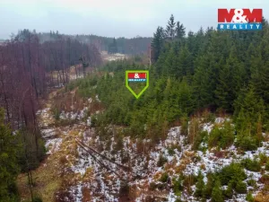 Prodej lesa, Česká Bělá, 1126 m2