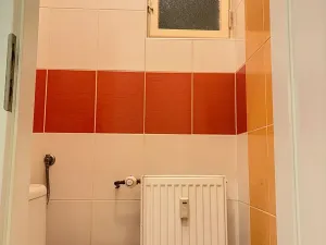 Prodej bytu 1+1, Plzeň, Tělocvičná, 47 m2