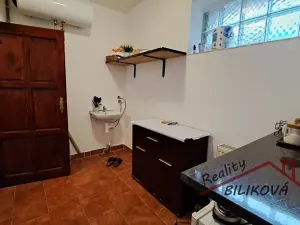 Pronájem obchodního prostoru, Brandýs nad Labem-Stará Boleslav, F. X. Procházky, 28 m2