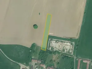 Prodej pole, Bor, 44369 m2