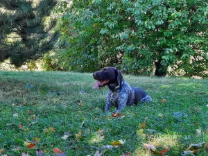 Pronájem bytu 3+kk, Praha, Kytlická, 80 m2