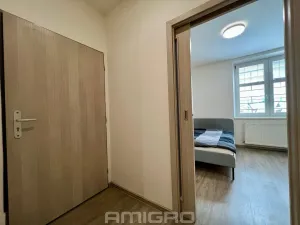 Pronájem bytu 1+kk, Brno, Životského, 24 m2