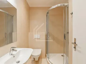 Pronájem bytu 4+1, Praha - Vinohrady, Belgická, 120 m2