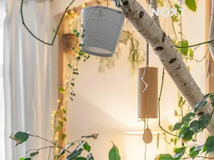 Pronájem rodinného domu, Podivín, Havlíčkova, 61 m2