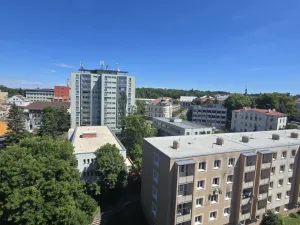 Pronájem bytu 1+kk, Příbram - Příbram I, Riegrova, 16 m2