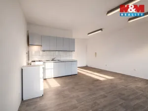 Pronájem bytu 2+kk, Opava - Město, Dolní náměstí, 94 m2