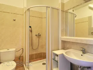 Pronájem bytu 2+1, Praha - Bubeneč, Terronská, 45 m2