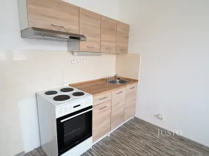 Pronájem bytu 1+kk, Písek, Dr. M. Horákové, 20 m2