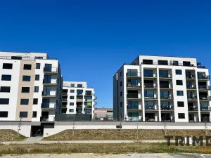 Prodej bytu 3+kk, Opava - Předměstí, Císařského pluku, 80 m2