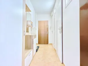 Prodej bytu 1+1, Čelákovice, Rumunská, 33 m2