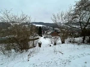 Dražba pozemku pro bydlení, Bušín, 3553 m2