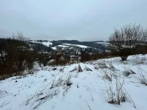 Dražba pozemku pro bydlení, Bušín, 3553 m2