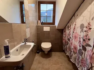 Prodej chalupy, Orlické Podhůří, 267 m2