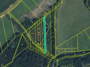 Dražba louky, Kopidlno, 1439 m2