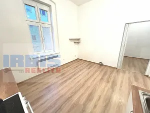 Pronájem bytu 1+1, Plzeň, Hřímalého, 36 m2
