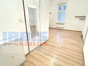 Pronájem bytu 1+1, Plzeň, Hřímalého, 36 m2