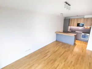 Prodej bytu 3+kk, Praha - Žižkov, U Viktorie, 70 m2