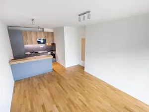 Prodej bytu 3+kk, Praha - Žižkov, U Viktorie, 70 m2