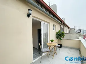 Pronájem bytu 1+kk, Praha - Nusle, Doudlebská, 30 m2