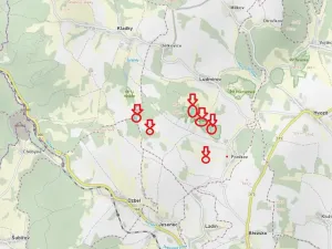 Prodej lesa, Ludmírov, 9585 m2