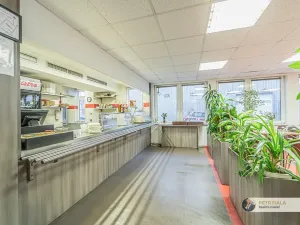 Pronájem kanceláře, Praha, Dopraváků, 258 m2