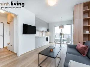 Pronájem bytu 1+kk, Plzeň - Skvrňany, Františka Kováříka, 39 m2