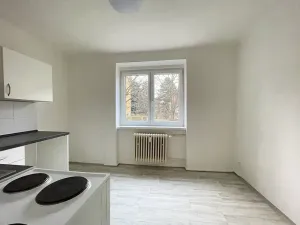 Pronájem bytu 1+1, Litvínov, Podkrušnohorská, 31 m2