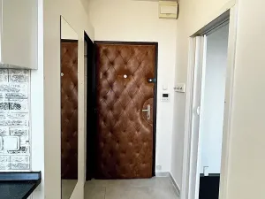 Pronájem bytu 1+1, Olomouc, U cukrovaru, 32 m2