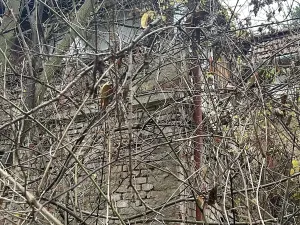 Prodej pozemku pro bydlení, Brno, Vinohrady, 990 m2