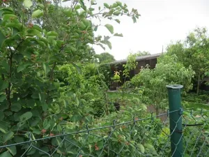 Dražba skladu, Jílové u Prahy, Pražská, 10 m2