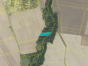 Dražba louky, Květnice, 3052 m2