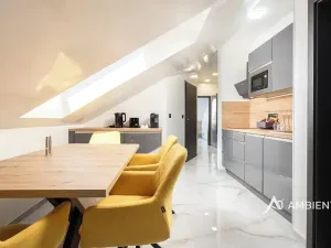 Pronájem ubytování, Šanov, 248 m2