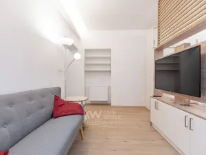 Pronájem bytu 1+kk, Praha - Nusle, Na Jezerce, 29 m2