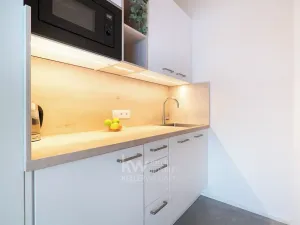 Prodej bytu 1+kk, Janov nad Nisou, 26 m2