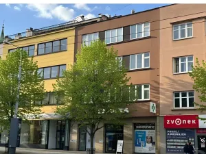 Prodej obchodního prostoru, Zlín, třída Tomáše Bati, 1023 m2